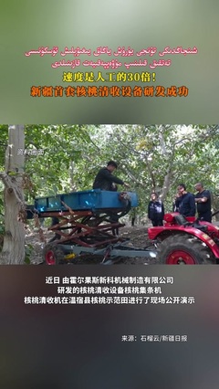 風(fēng)災(zāi)釀悲劇與城市公共安全的深層思考