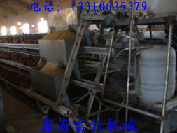 山東日照與五蓮自動(dòng)喂料機(jī) 機(jī)械設(shè)備研發(fā)的技術(shù)突破與應(yīng)用前景